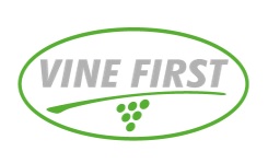 Vine First Ltd