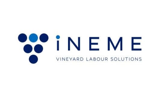 Vine Me Limited